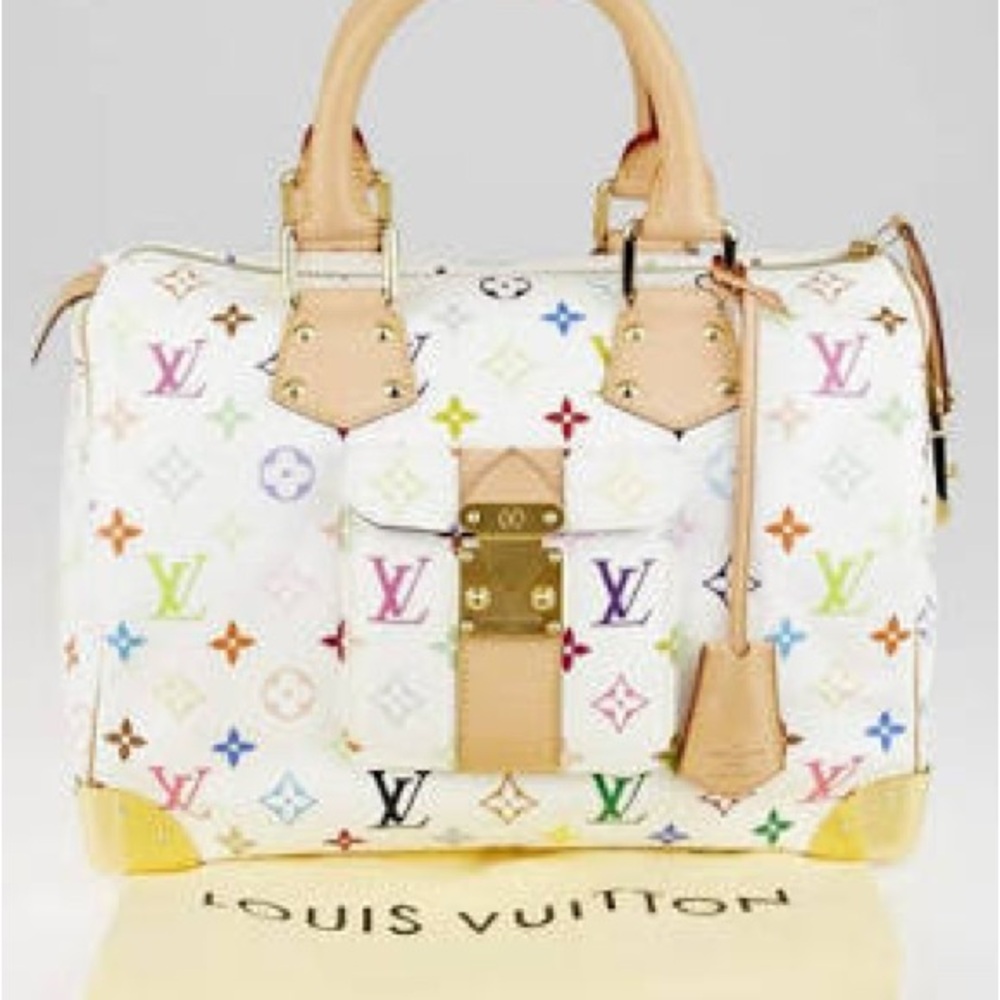 Louis Vuitton Multicolor Monogram Handbag